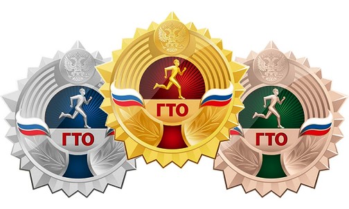 Торжественное вручение знаков ВФСК ГТО..